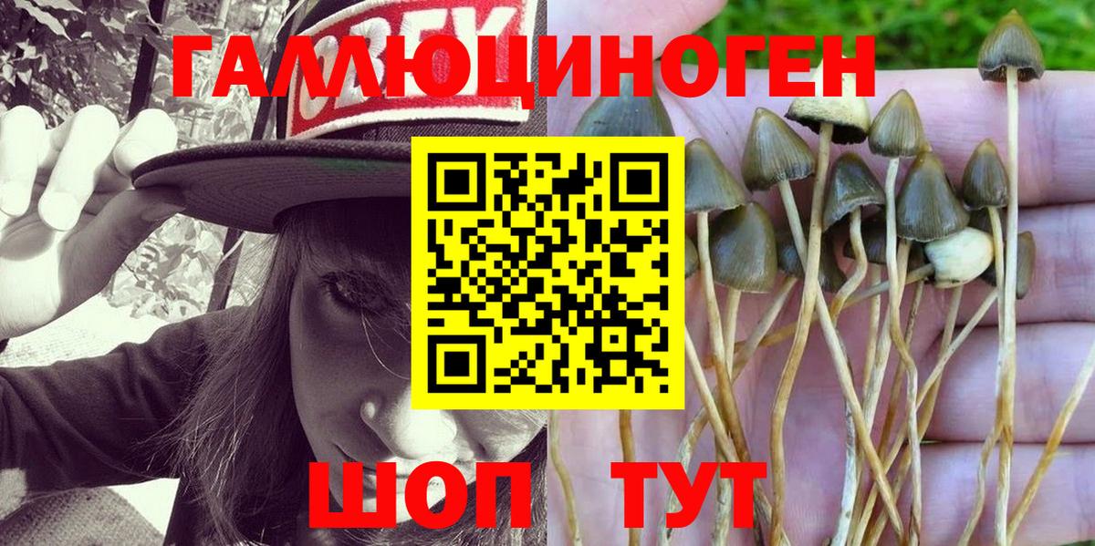 Псилоцибиновые грибы MAGIC MUSHROOMS  Псилоцибиновые грибы мухоморы  Новосибирск  Вход с VPN 